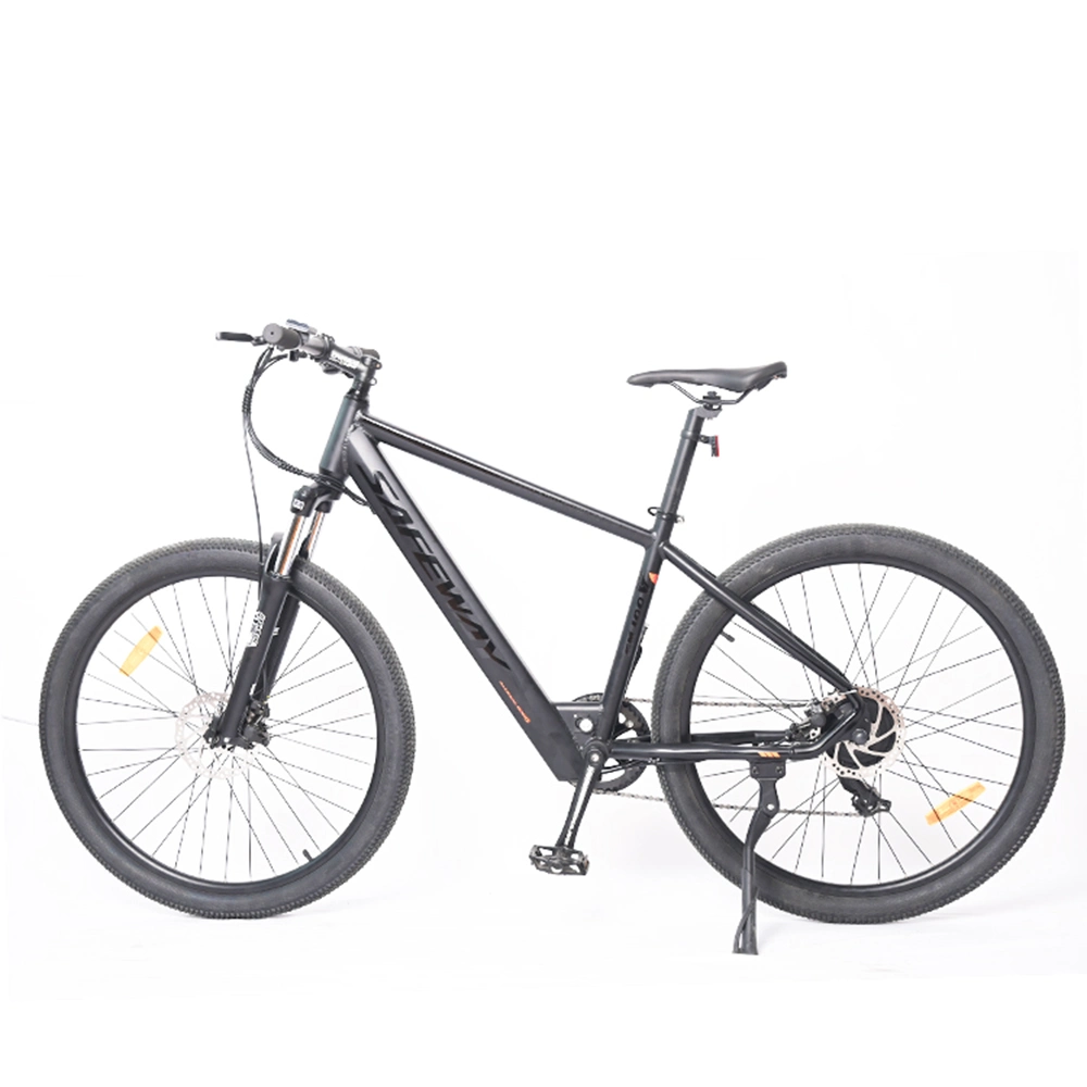 Electric Bicycle USA Manufacturer/Electric Bicycle Speed/Electric Bicycles Hybrid MID