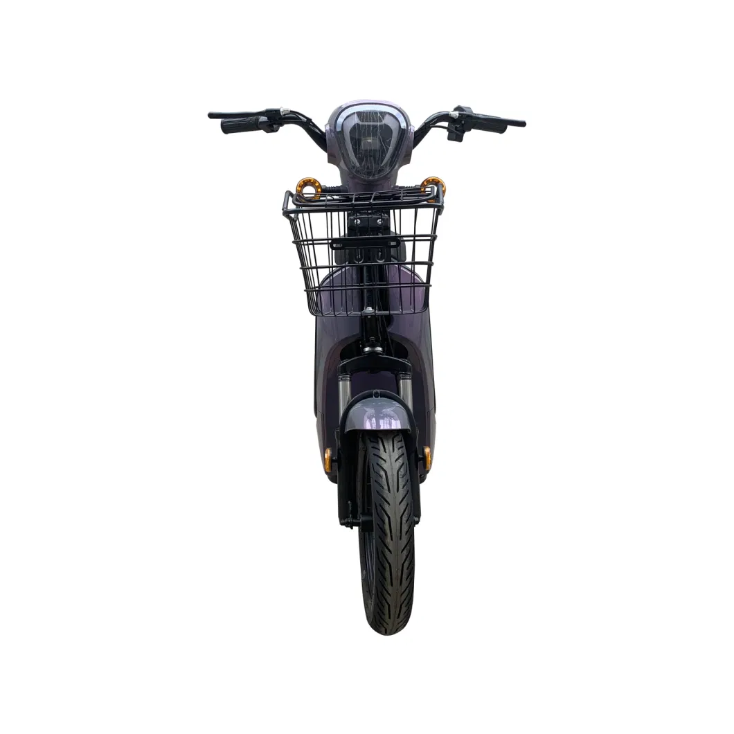 Popular Model 400W with Pedal E-Bike/Electric Scooters LED Display