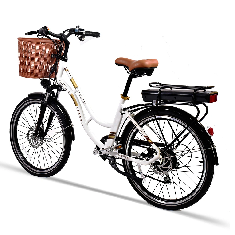 Factory Direct New Model Bicycle 26&prime;&prime; 36V Electric City Bike