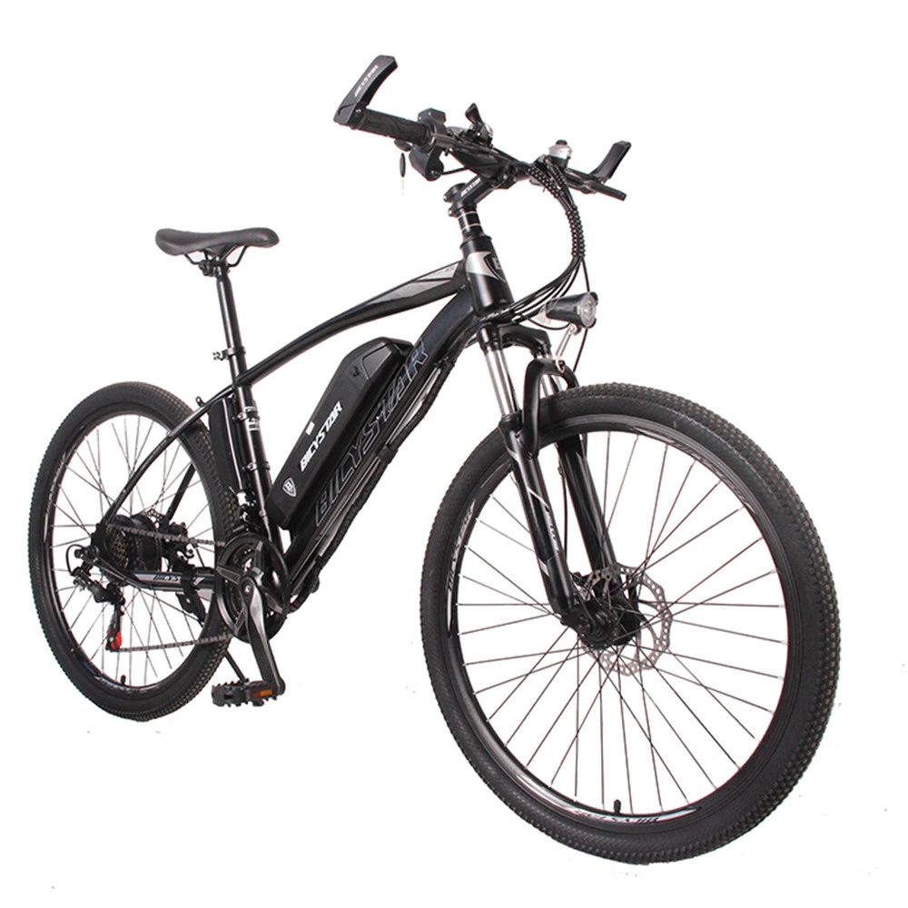 Road Bike 1000W Bike Racing City Bikebikesharing Bike Snow Bike Speed Bicycle Bike