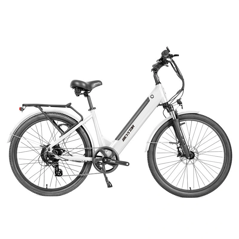 26 Inch E Bike Electric Bicycle Electric Bike