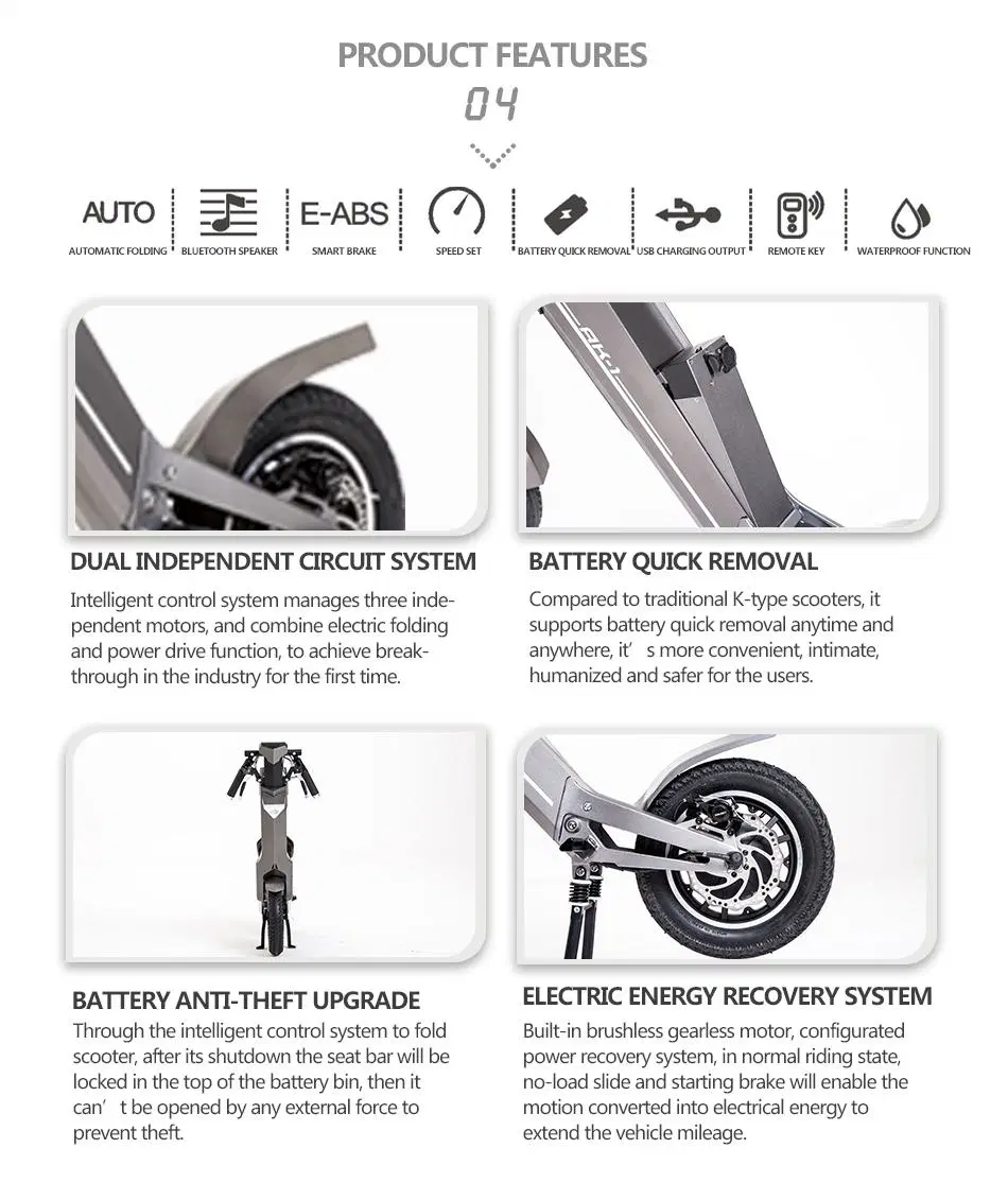 Chanson Adult Scooter Foldable E Roller Mobility E-Scooter Electric Scooter Pedal Assist Bikes