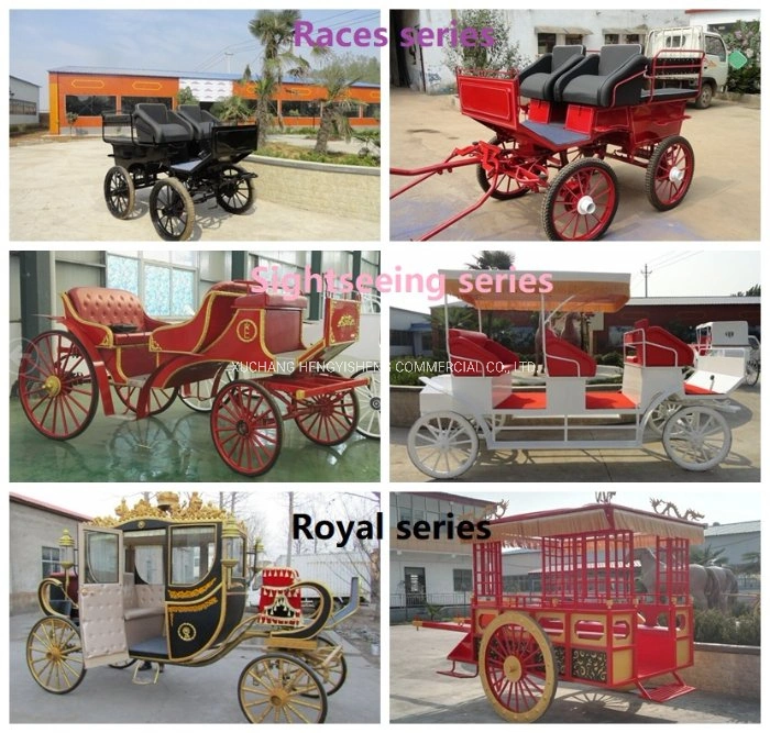 High Quality 2 Wheel Electric Rickshaw/Electric Rickshaw for Exhibition