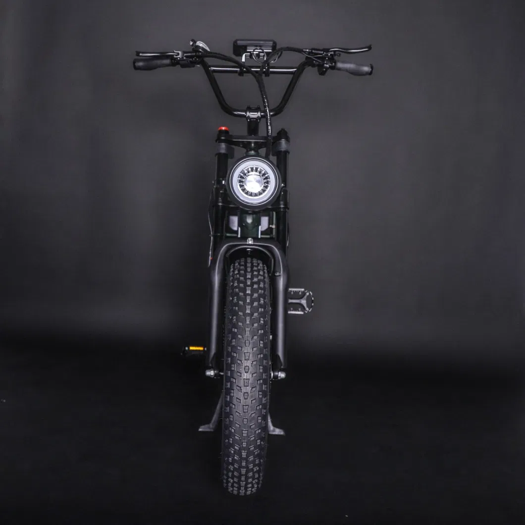 2000W Electric Bicycle Mountain Fat Tire City Road Electric Hybrid Bike