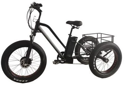 Made Model Electric Scooter Sports Ebike/Ebike Adult