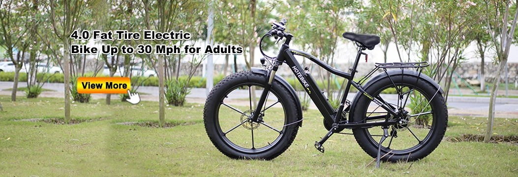 36V 48V 500W 750W 1000W Electirc Dirt Biike Fat Tire Electric Bike Fat Bike Electric Electric Chopper Bike Electric Bike 48V