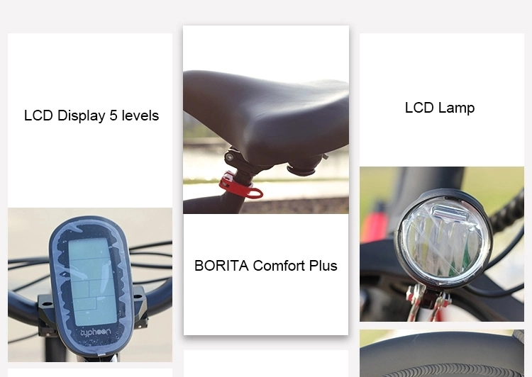 Fat Tyre Folding Electric Mountain Bike LED/LCD Display E-Bike Electric Motor Bicycle for Adults