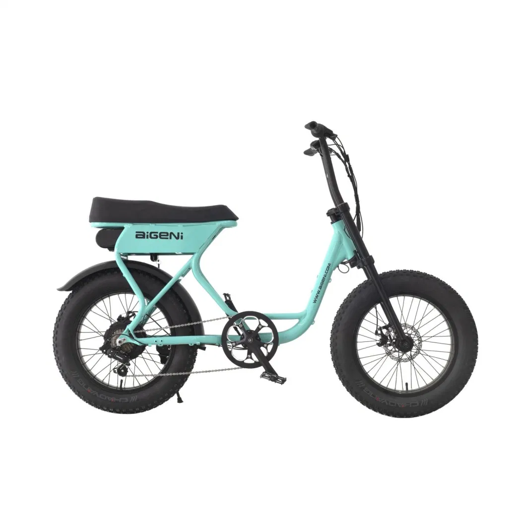 2023 China New Model Electric Motorcycle Mountain Ebike for Adults Am2088