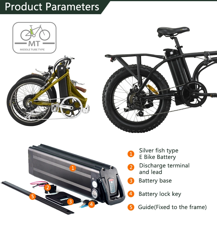 Customized 18650 Li-ion E-Bike Battery Hot Sale Cruiser City MTB Trike Fat Bike LiFePO4 Battery