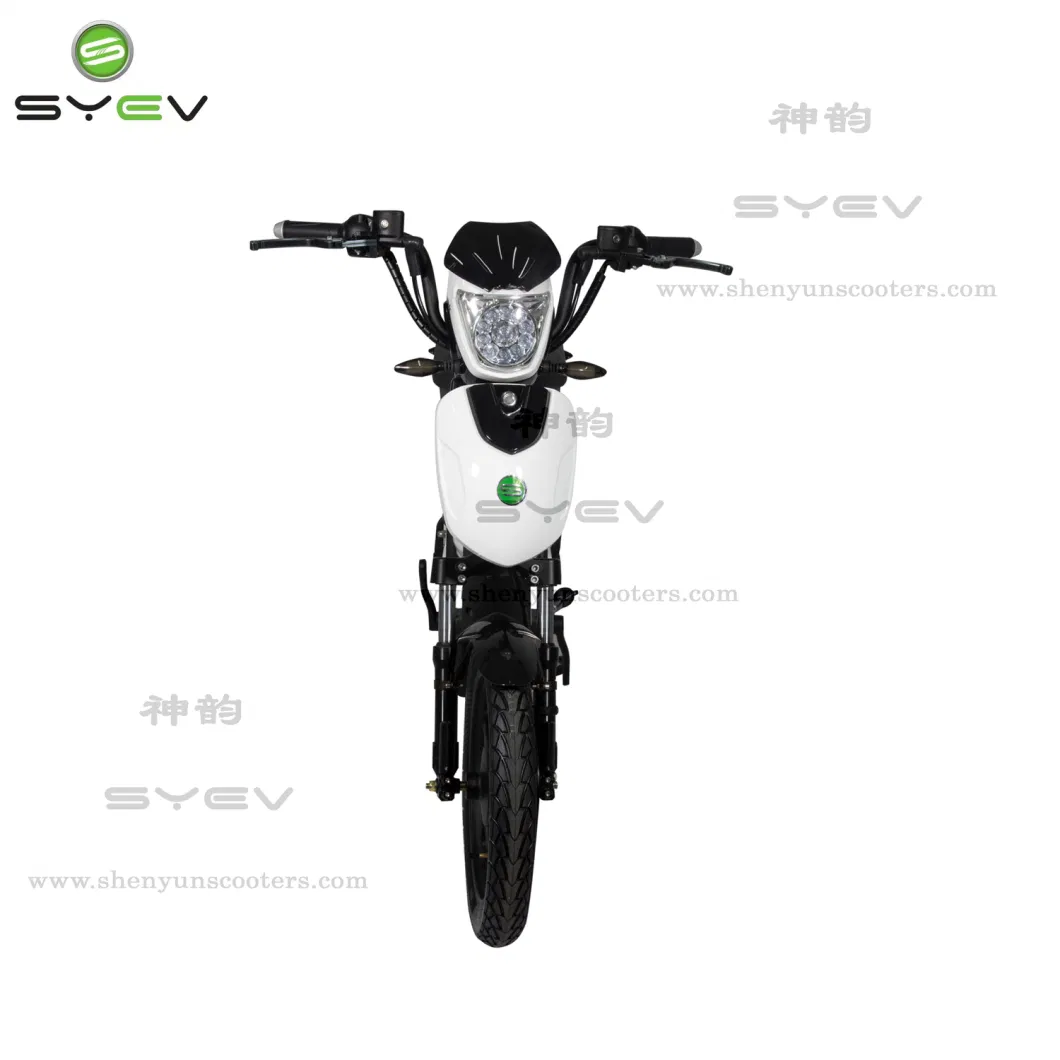 Syev 2 Wheel Electric Bike 800W Electric Mobility Scooter with 48V20ah Lithium Battery