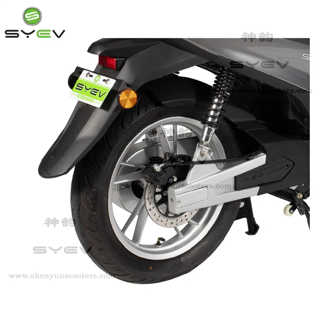 CKD New Model Outdoor off-Road Long Battery Life Large High Performance Big Power High Speed Electric Motorcycle with EEC Certificated E Bike Scooter