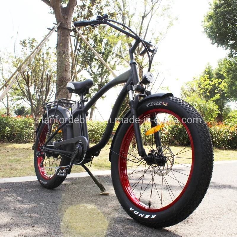Cheapest 2 Seat 48 Volt Battery Speedy Electric Bicycle