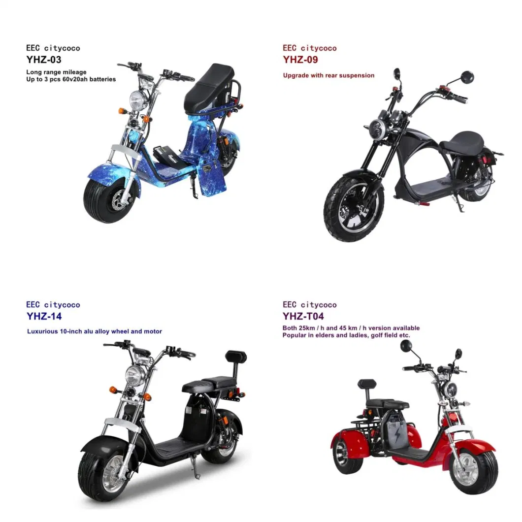 2023 China Citycoco Electric Scooters Powerful Adult Best Quality Long Range Electric Scooter Two Wheels