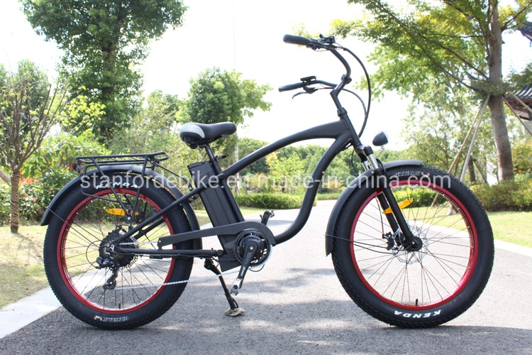 Cheapest 2 Seat 48 Volt Battery Speedy Electric Bicycle