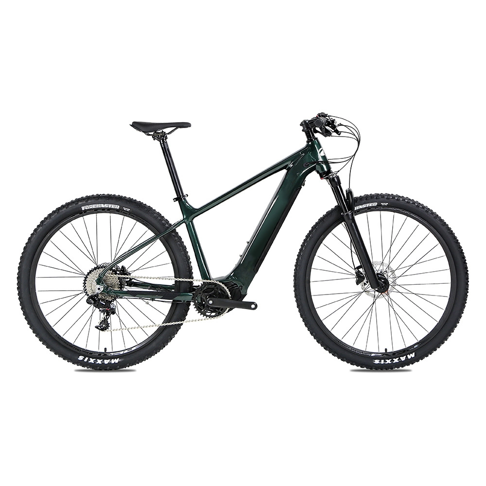 MID Drive M510 250W off-Road Electric Bike Electric Cycle Electric Downhill Mountain Bike