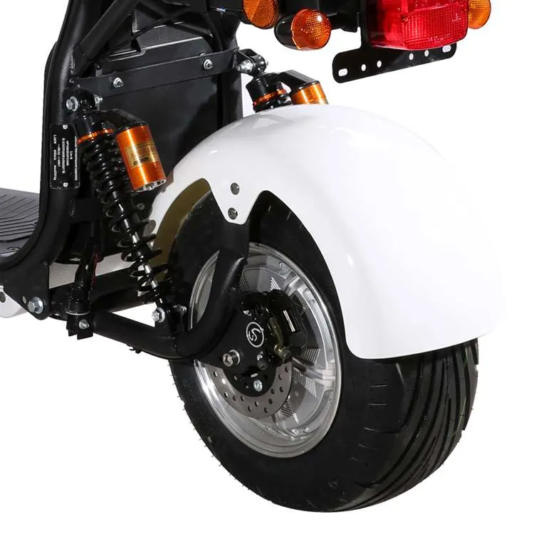 2021 EEC Mobility Moto Electric 1500W Bike Cheap 60V Adults Balancing Motorcycle Citycoco Scooter