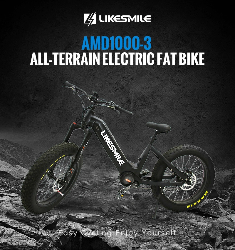 Electric Bike Factory 48V 1000W Ebike Electric Bicycle 50km/H Electric Fat Tire Bike Ebike