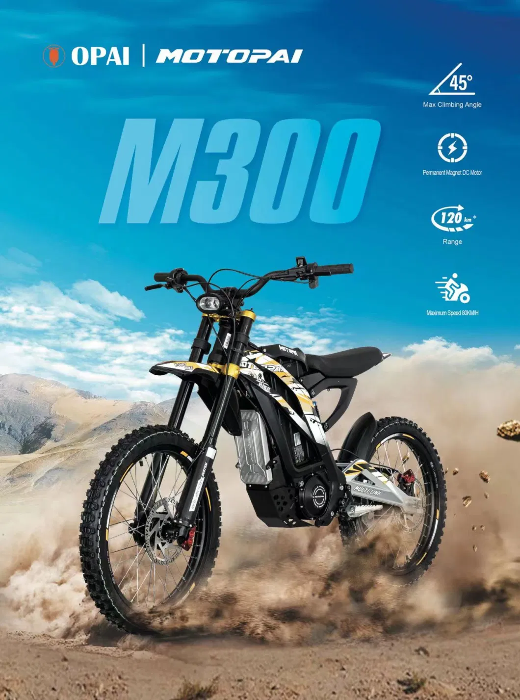 M300 Electric Dirt Bike 3000W