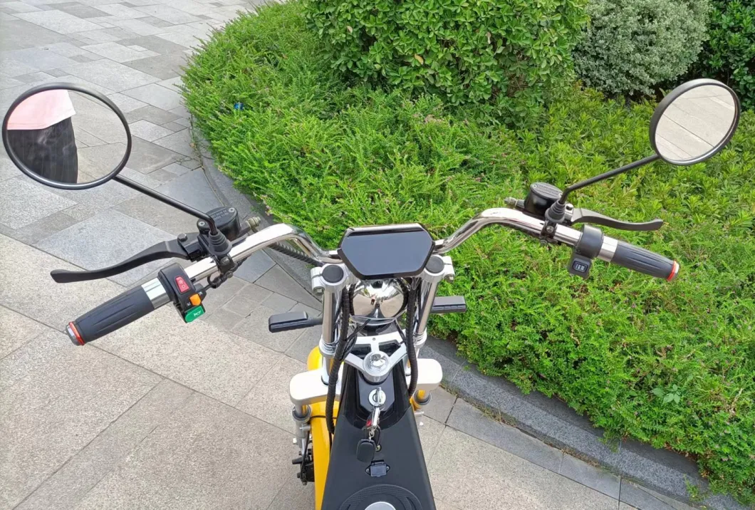 1500W 60V 2 Wheel Electric Bike Scooter with Pedals Motorcycle Electric Scooter Citycoco