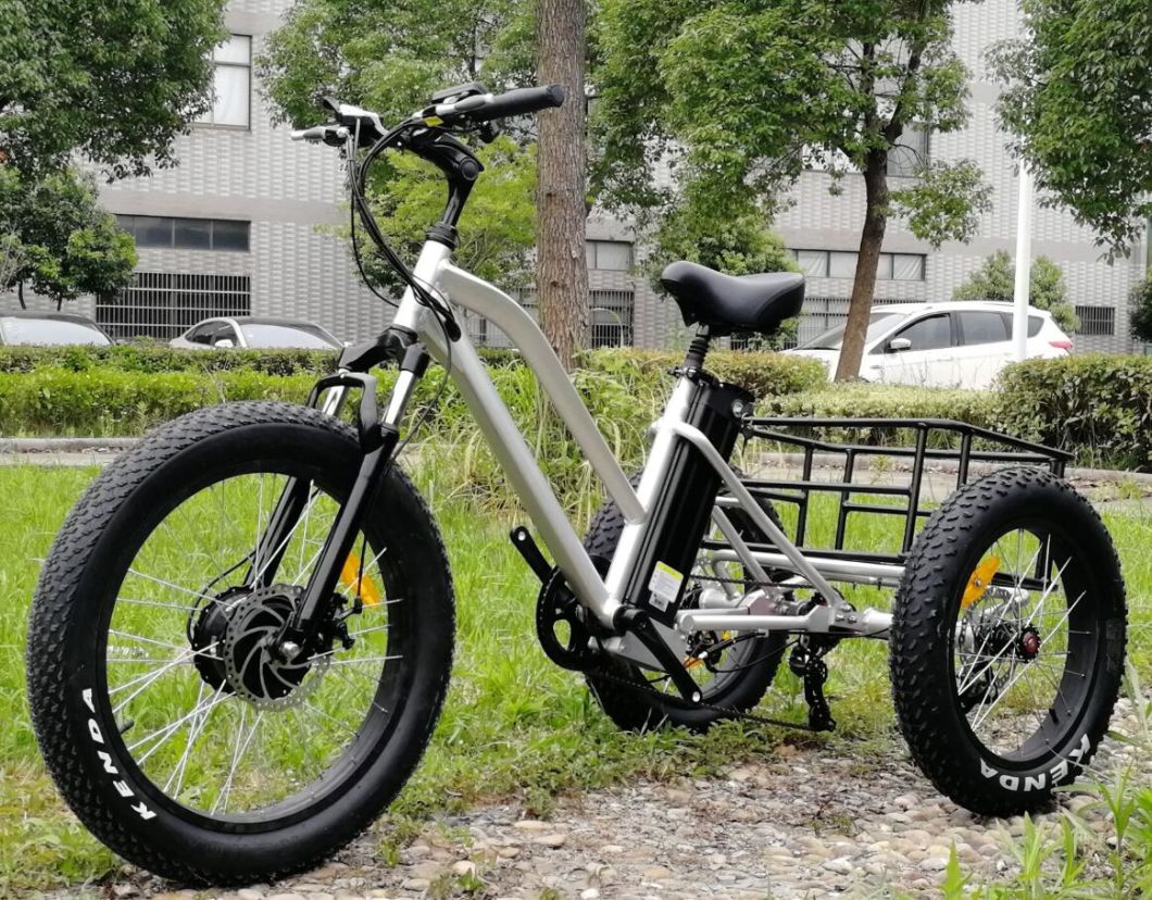 500W Three Wheel Electric Bicycle Trike