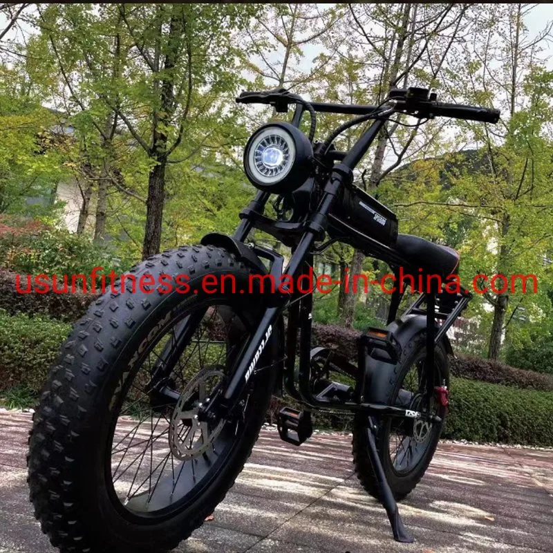 Wholesale Aluminum Alloy Fat Tire Electric Bike Electric Bicycle Mountain Electric Bike with Lithium Battery