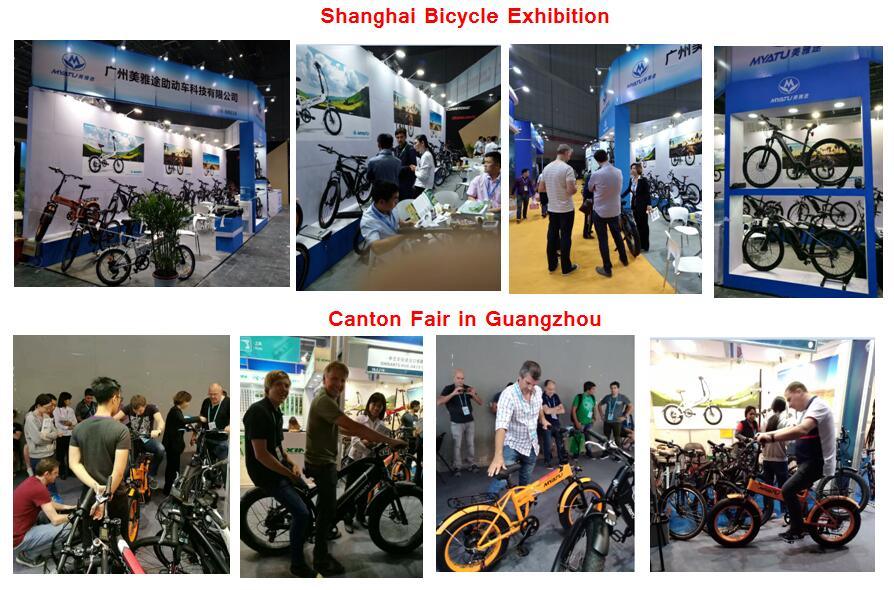 Fast Delivery Wholesale Chinese 48V Electric Bike Bicycle with OEM Service