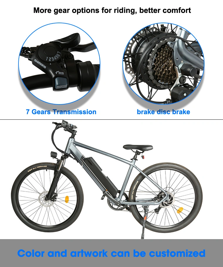 Sport Electric Bicycle 250W Ebike Fastest City E-Bike Bikes Dirt Bike Ebicycle