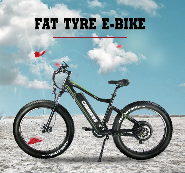 New 48V 500W Fat Electric Bicycle for Eruope