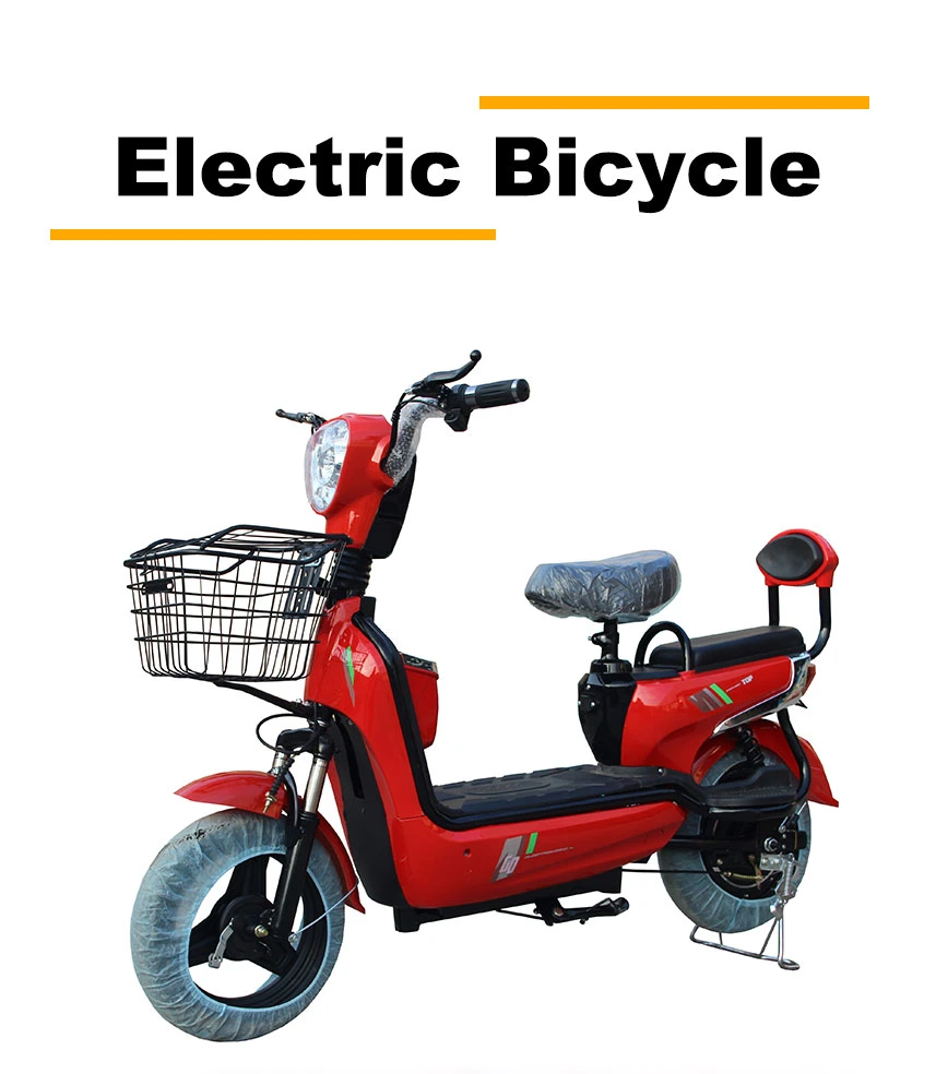 Electric Bicycle Two Wheels Ebike Made in China Cheapest Price Electric Bicycle Adult 48V