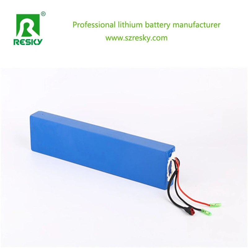 48V 20ah Lithium Battery for 1000W Electric Bicycle Scooter