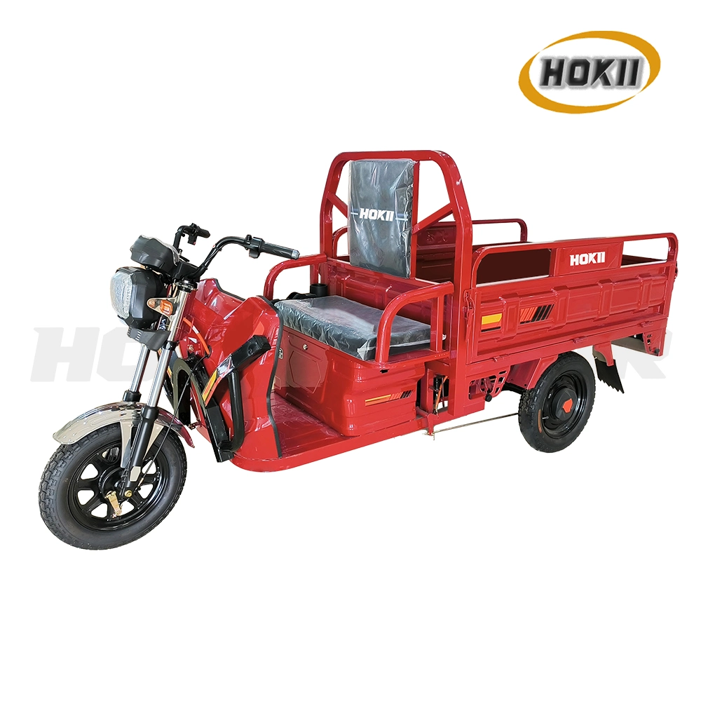 New Design Triciclo Electrico Factory Direct Sale Good Quality 1000W Motor 3 Wheel Motorcycle Vehicle Electric Cargo Tricycle for Sale