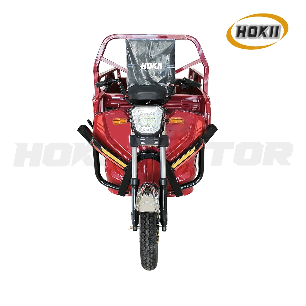New Design Triciclo Electrico Factory Direct Sale Good Quality 1000W Motor 3 Wheel Motorcycle Vehicle Electric Cargo Tricycle for Sale