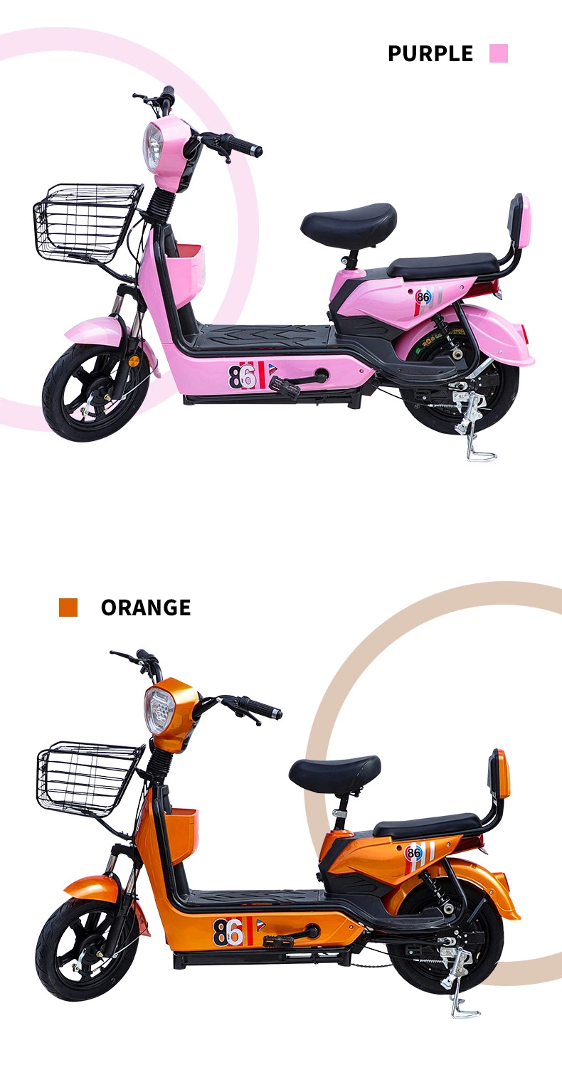 Brushless Motor Motorcycles with Pedals Wholesale 48V 12A Battery Electric Bike