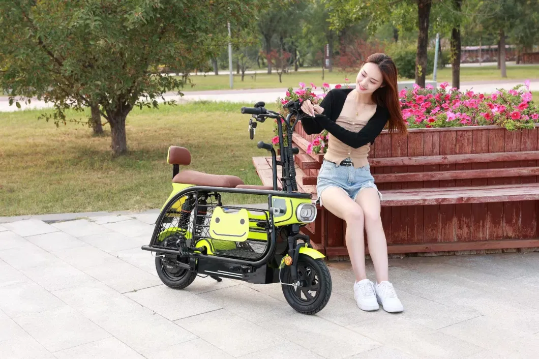 Aluminum Alloy Lead-Acid Battery for Two Wheel Cheap Electric Bike Scooter