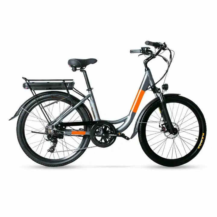 Professional Manufacturer High Quality Electric City Bicycle 250W 36V MID Drive Motor for Sale