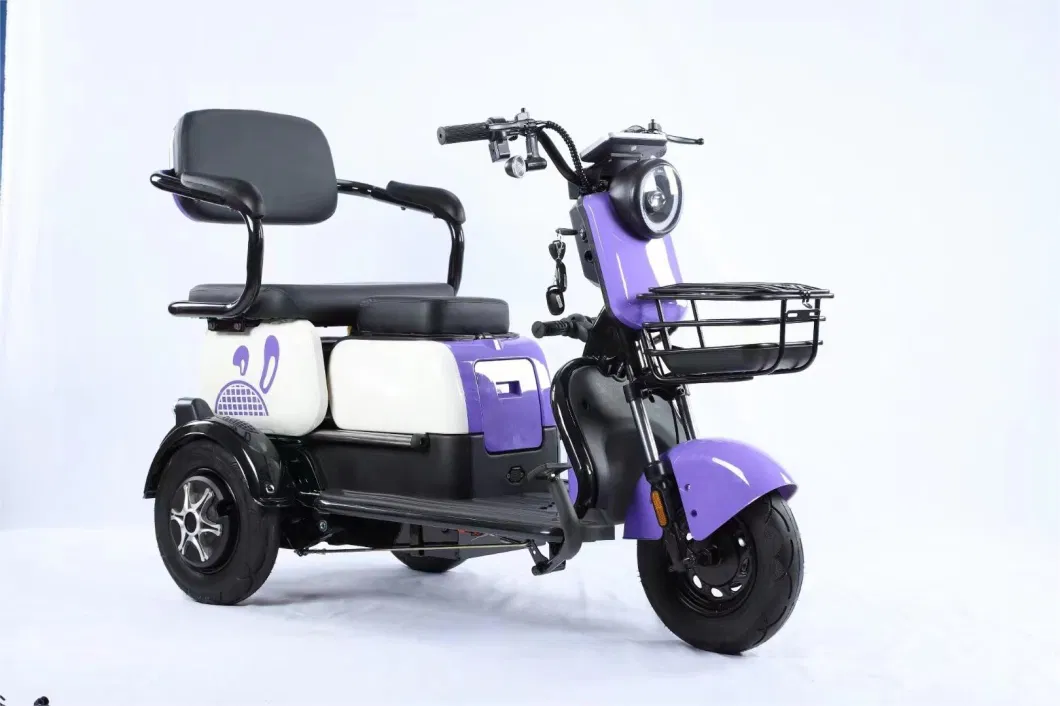 Bespoke New Adult Electric Passenger, Cargo, Three Wheels, Richshaw, Motor, Petrol, Motorized, Electric Trike, Vehicle, Bicycle, Motorbike, Tricycle