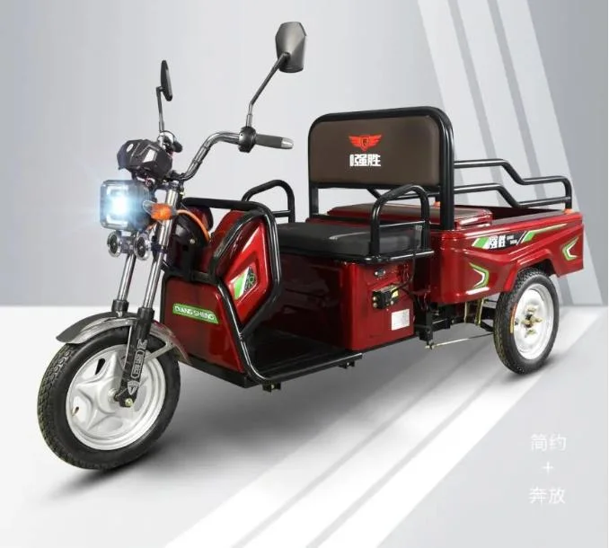 Adult Electric Tricycle Affordable Three Wheeler Electric Bike Small Tricycle for Sale