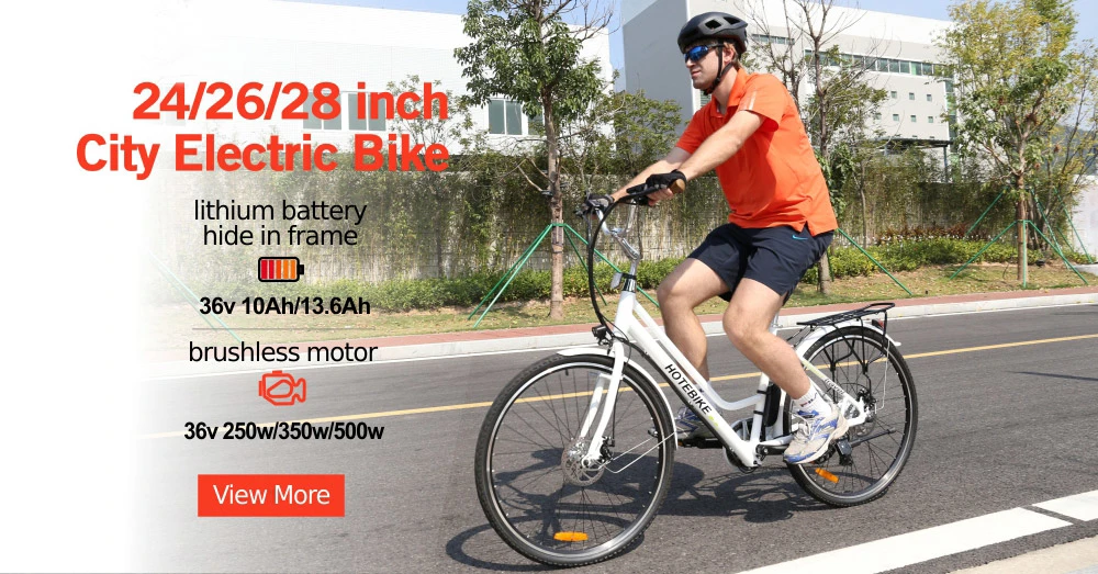 36V/48V 250W/350W/500W/750W High Power Mountain Electric Bike