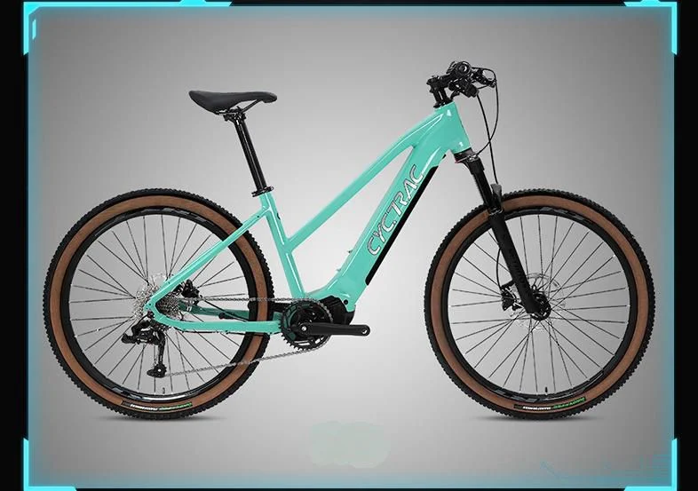 Newest Twitter Electric Bicycle Bafang MID Drive Electric City Bike Electric Mountain Bicycle