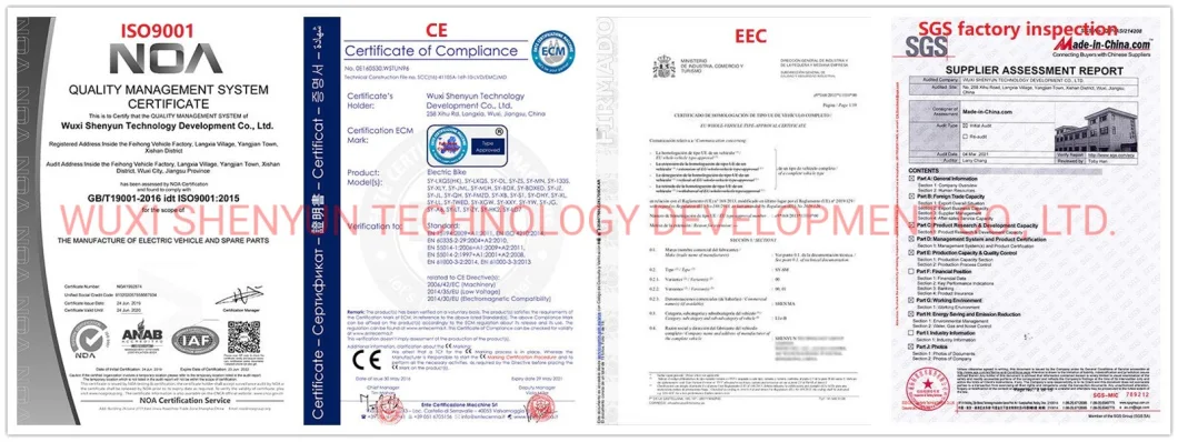 Shenyun China Supply Electric Bike with 48V 12ah 20ah Battery Electric Motorcycle Electric Scooter Disc Brake