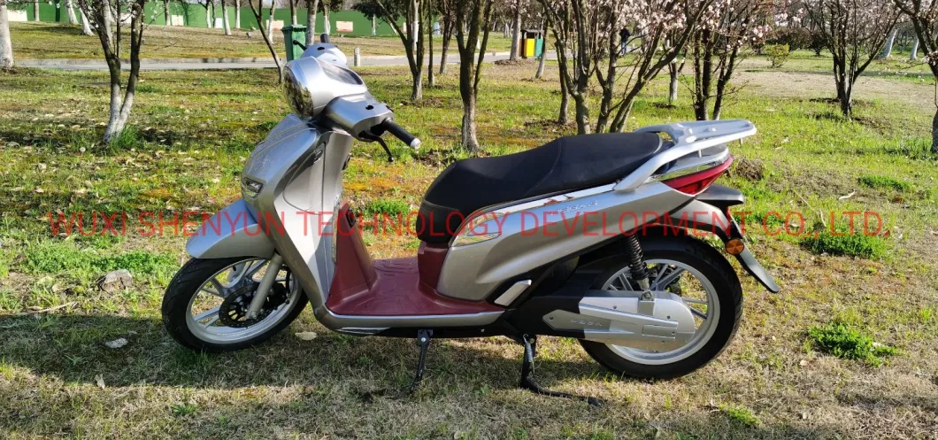 Syev Adult Electric Scooters Powerful Battery Motor EEC Electric Scooter Motorcycle 80km/H 170km Range