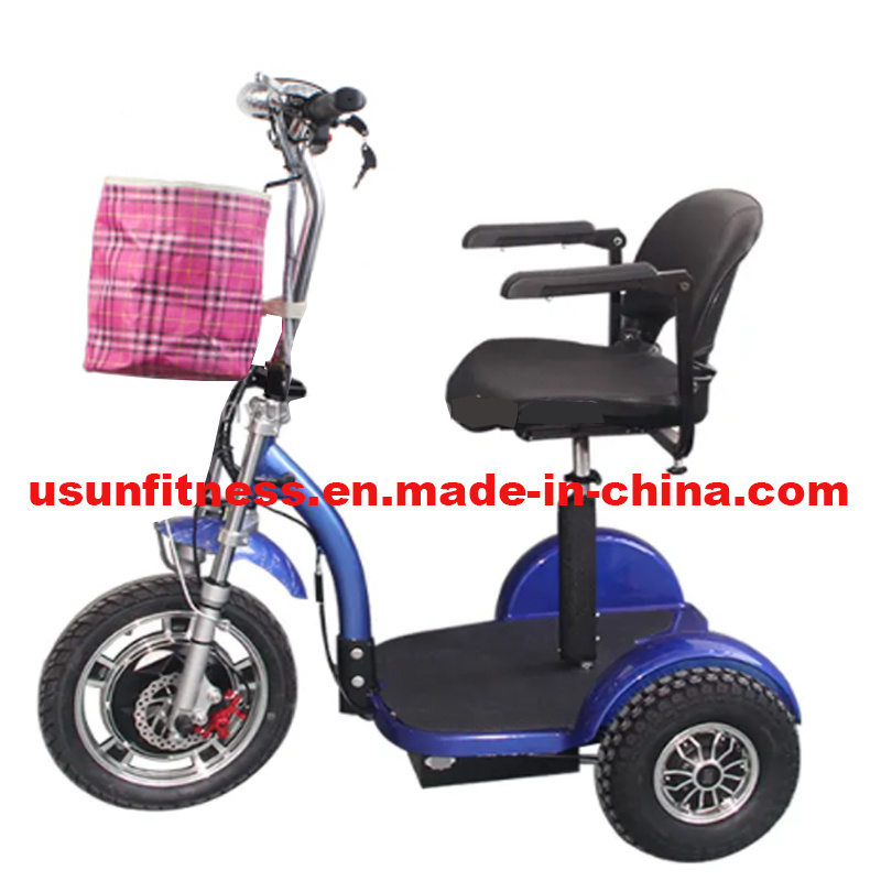 Wheels Electric Bike with Pedal Assistance Electric Scooter for Adults with Luxury Seats