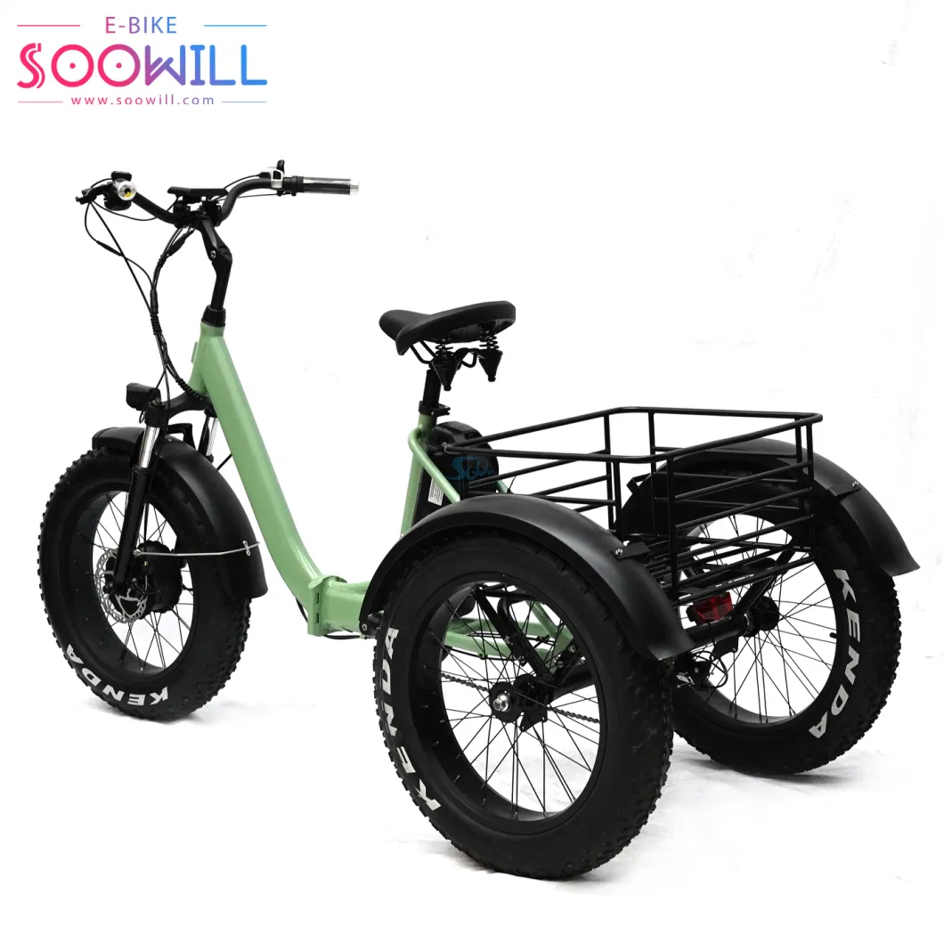 Microprocessor Other Tyre Fat Tire Adults 20 Inch Electric Tricycle with Seat