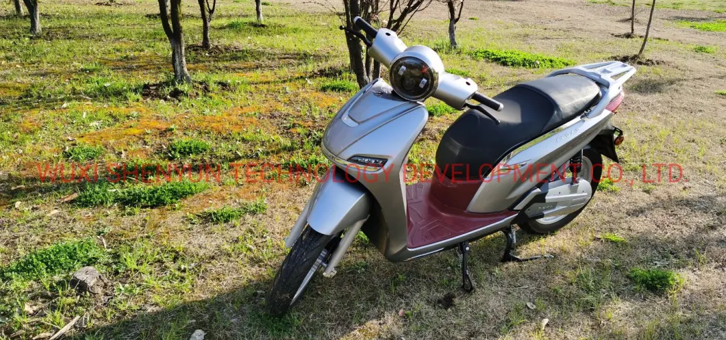 Syev Adult Electric Scooters Powerful Battery Motor EEC Electric Scooter Motorcycle 80km/H 170km Range