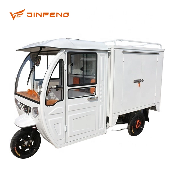 Powerful 60V 3 Wheel Tricycle Electric Tricycle for Cargo for Adult