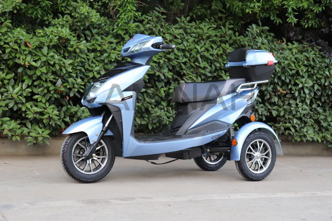 Cargo 3wheels Vehicle Electric Motorcycle Three Wheels Electric Scooter for Passanger SL