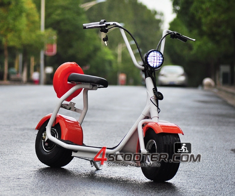 New Type 2 Wheel Electric Scooter 500W 1000W on Sales Promotion 2013 Electric Bicycle