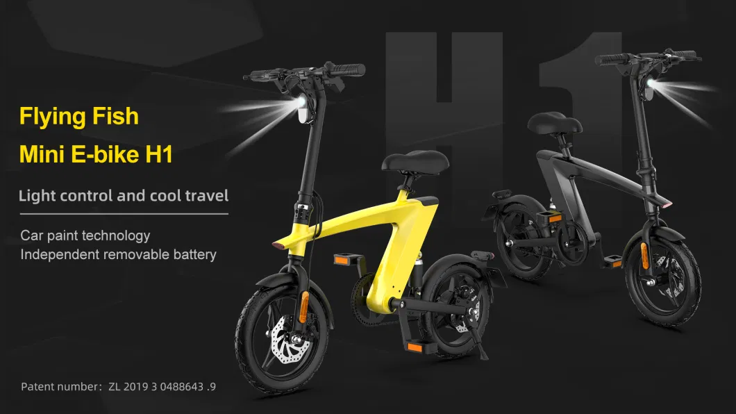 5% off Chinese Outdoor Road Bike 14 Inch 250W Motor Folding Motorized Motorcycle Electric Pit Bike Scooter