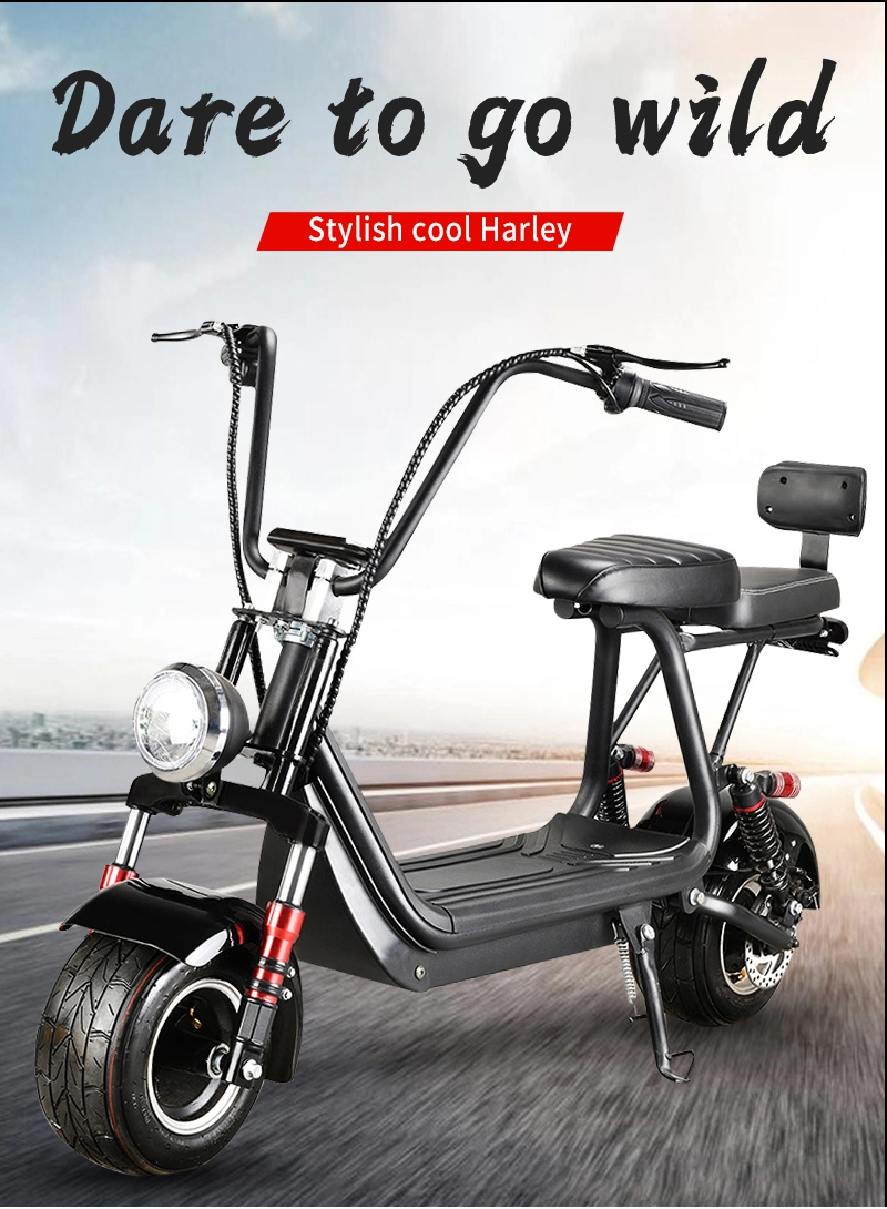 Adult Two Wheel 800W Electric Mini Two Seat Bike Citycoco Scooter