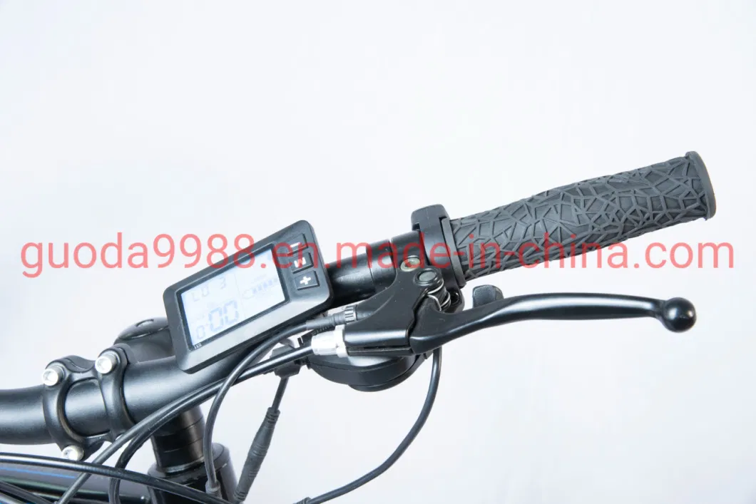 36V 300W Lithium Battery Electric Bicycle Mountain Ebike